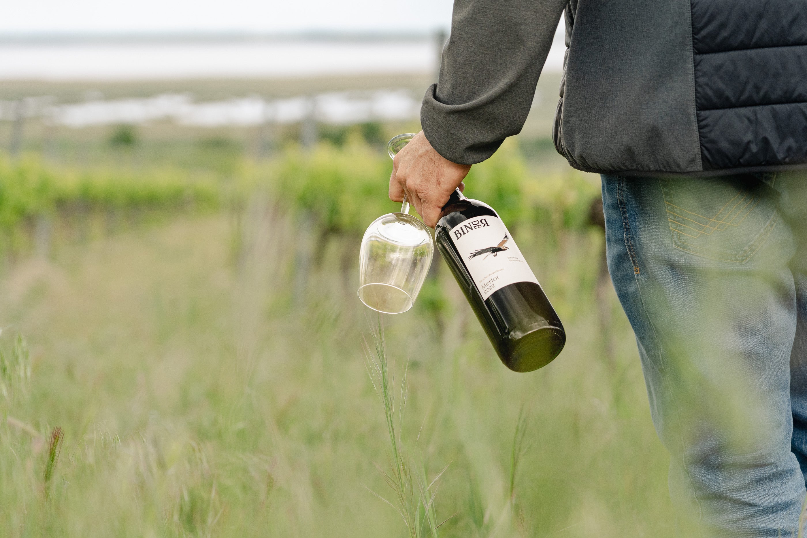 Markus Binder im Weingarten bei Mörbisch am See, im Hintergrund der Neusiedlersee, Burgenland, Österreich. In der Hand eine Flasche Wein und ein Glas.