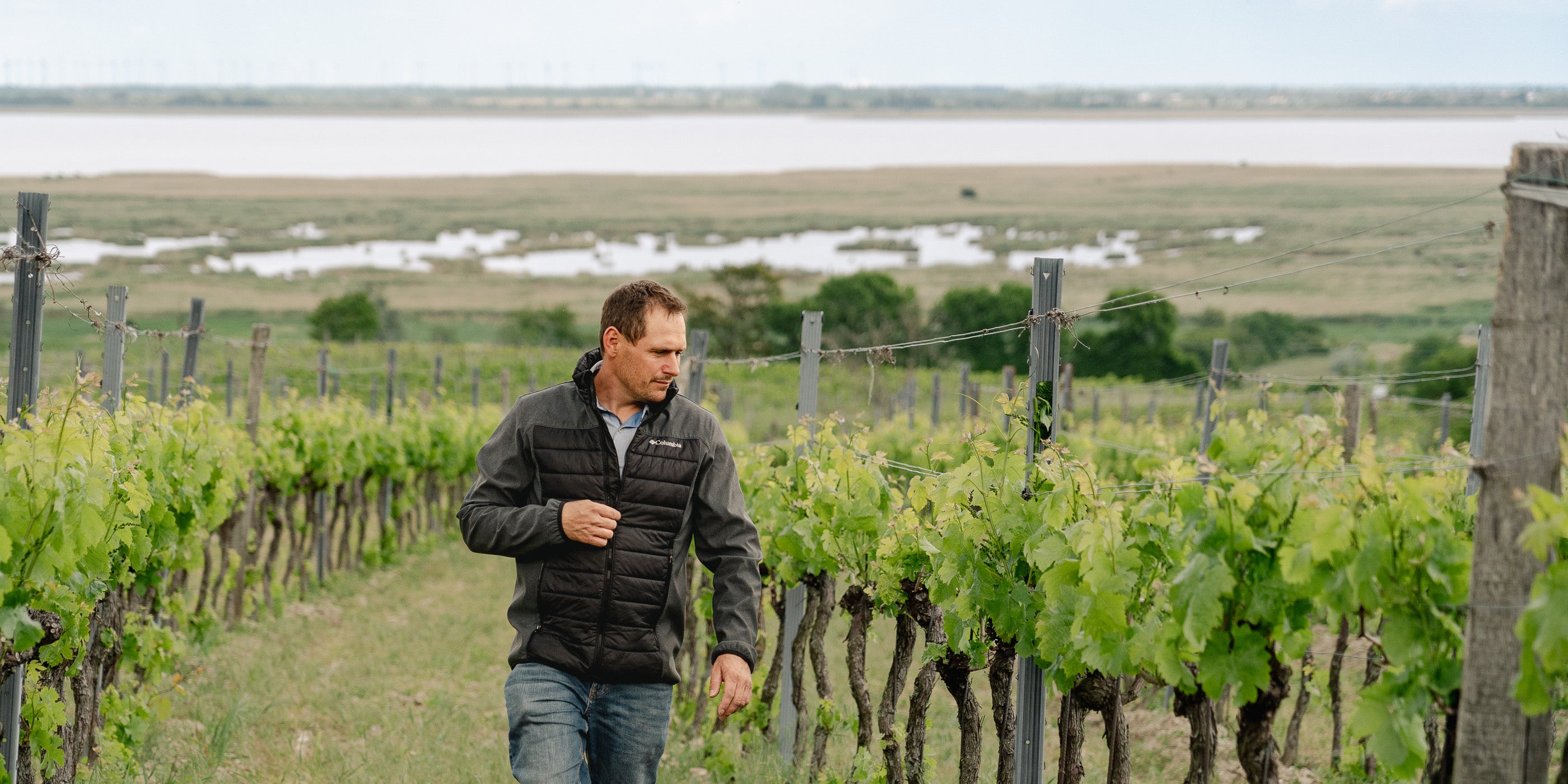 Markus Binder geht durch den Weingarten bei Mörbisch am See, im Hintergrund der Neusiedlersee, Burgenland, Österreich.