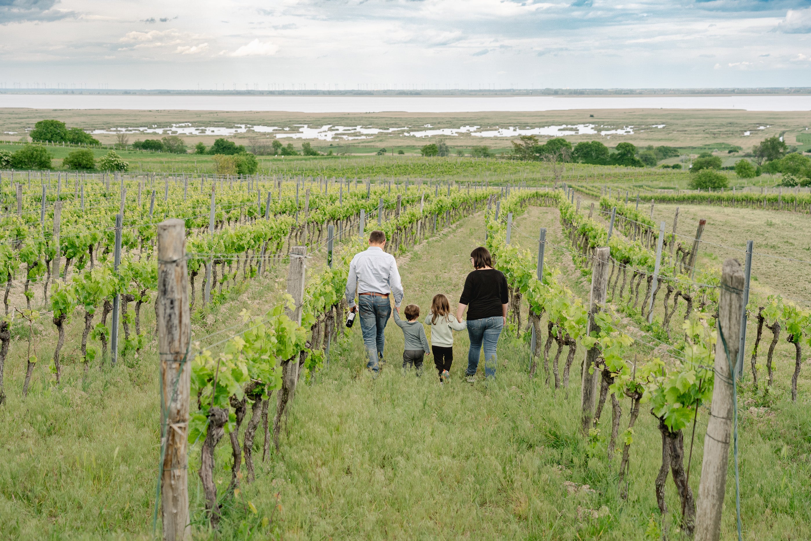 Markus Binder geht mit seiner Familie durch den Weingarten bei Mörbisch am See, im Hintergrund der Neusiedlersee, Burgenland, Österreich.