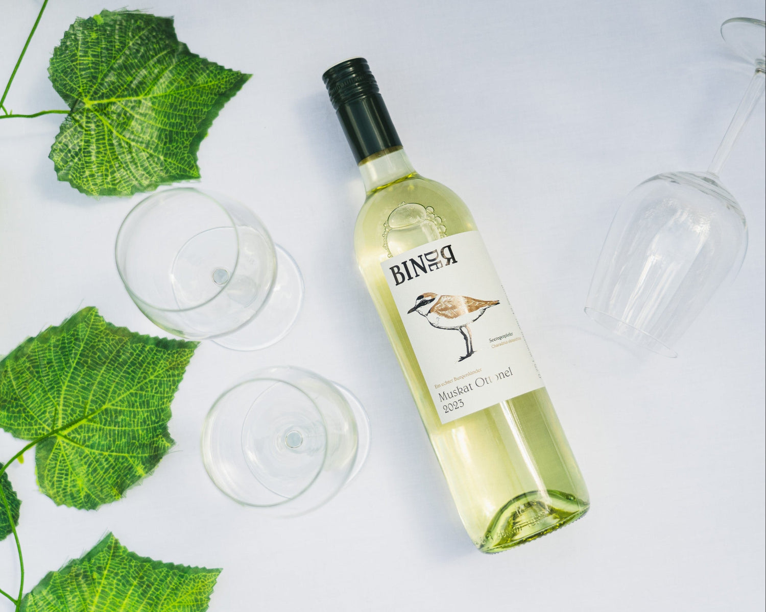 Muskat Ottonel vom Weingut Binder aus Mörbisch am See, Neusiedlersee, Burgenland, Österreich. Auf der Etikette der Weinflasche ein Seeregenpfeifer.