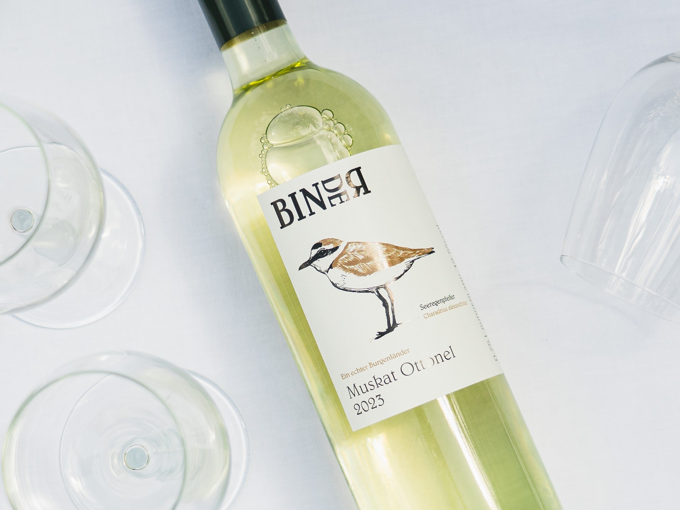 Muskat Ottonel vom Weingut Binder aus Mörbisch am See, Neusiedlersee, Burgenland, Österreich. Auf der Etikette der Weinflasche ein Seeregenpfeifer.