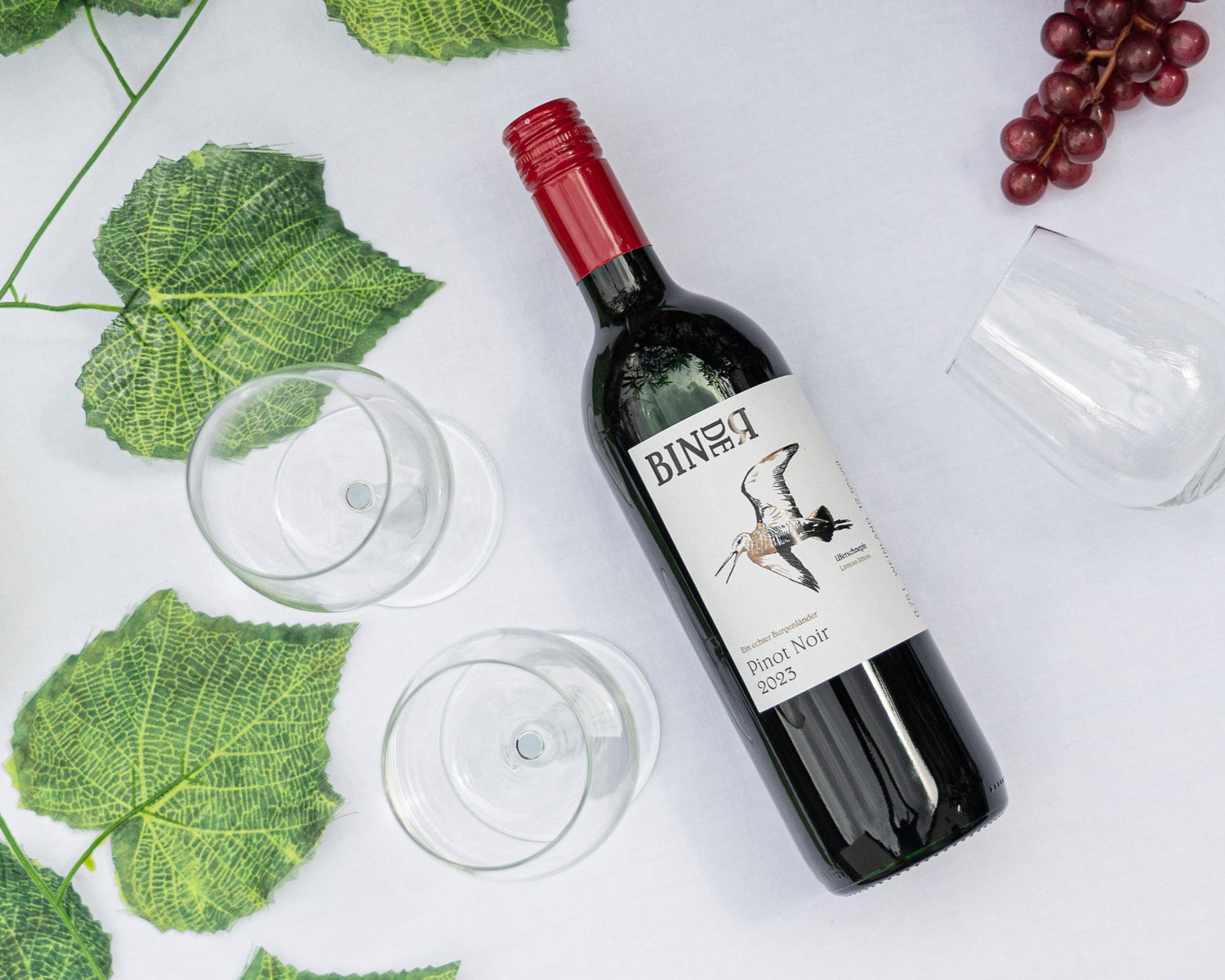 Pinot Noir vom Weingut Binder aus Mörbisch am See, Neusiedlersee, Burgenland, Österreich. Auf der Etikette der Weinflasche eine Uferschnepfe.