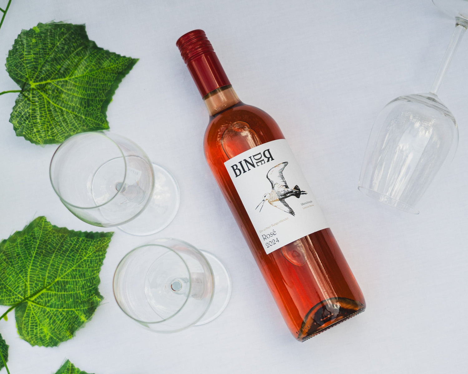 Rosé vom Weingut Binder aus Mörbisch am See, Neusiedlersee, Burgenland, Österreich. Auf der Etikette der Weinflasche eine Uferschnepfe.