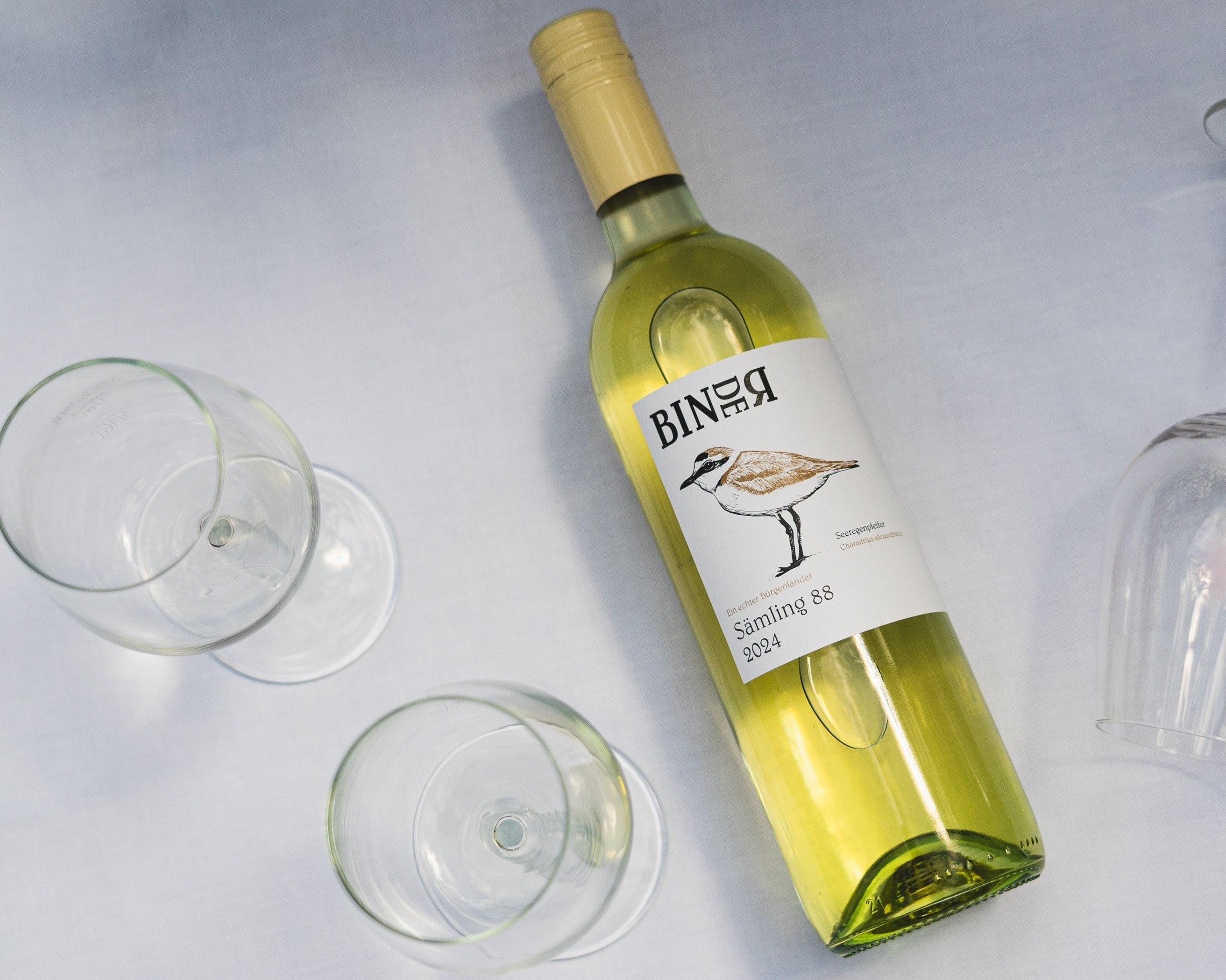 Sämling 88 vom Weingut Binder aus Mörbisch am See, Neusiedlersee, Burgenland, Österreich. Auf der Etikette der Weinflasche ein Seeregenpfeifer. Auch Scheurebe genannt.