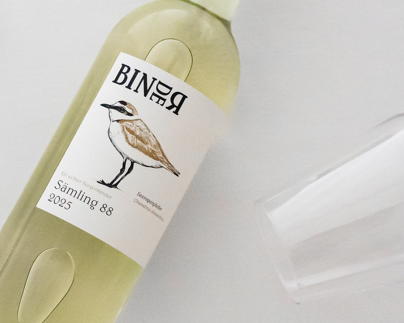 Sämling 88 vom Weingut Binder aus Mörbisch am See, Neusiedlersee, Burgenland, Österreich. Auf der Etikette der Weinflasche ein Seeregenpfeifer. Auch Scheurebe genannt.
