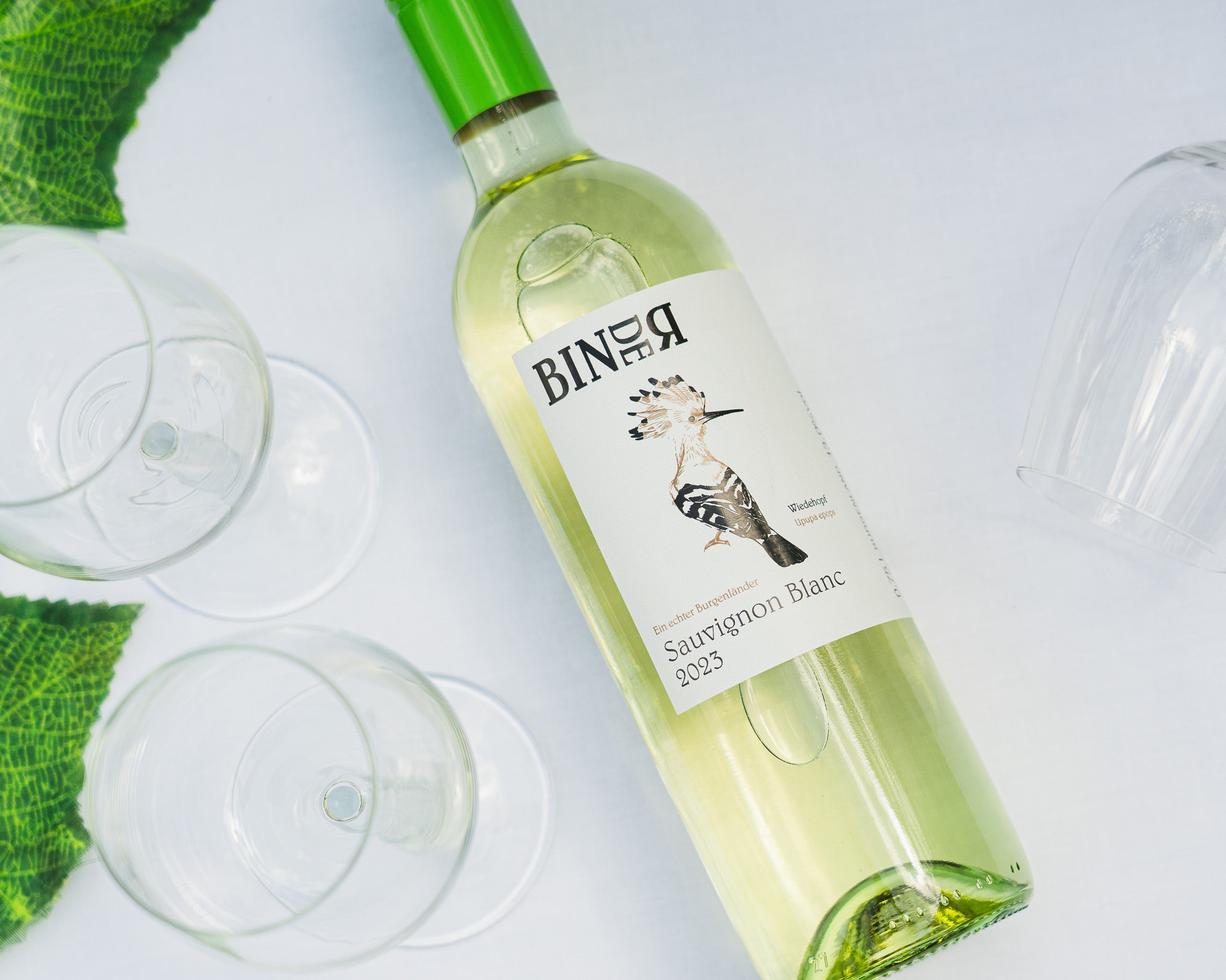 Sauvignon Blanc vom Weingut Binder aus Mörbisch am See, Neusiedlersee, Burgenland, Österreich. Auf der Etikette der Weinflasche ein Wiedehopf.