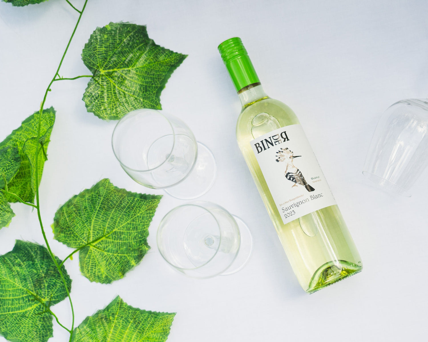 Sauvignon Blanc vom Weingut Binder aus Mörbisch am See, Neusiedlersee, Burgenland, Österreich. Auf der Etikette der Weinflasche ein Wiedehopf.