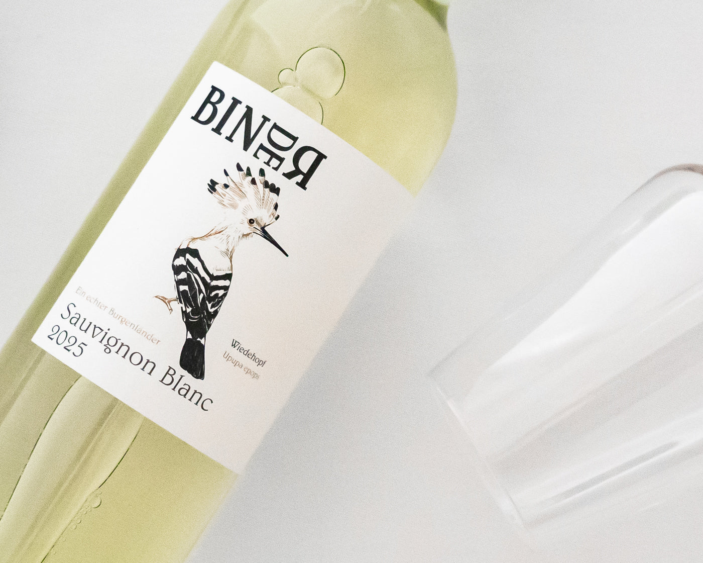 Sauvignon Blanc vom Weingut Binder aus Mörbisch am See, Neusiedlersee, Burgenland, Österreich. Trockener Weißwein. Auf der Etikette der Weinflasche ein Wiedehopf.