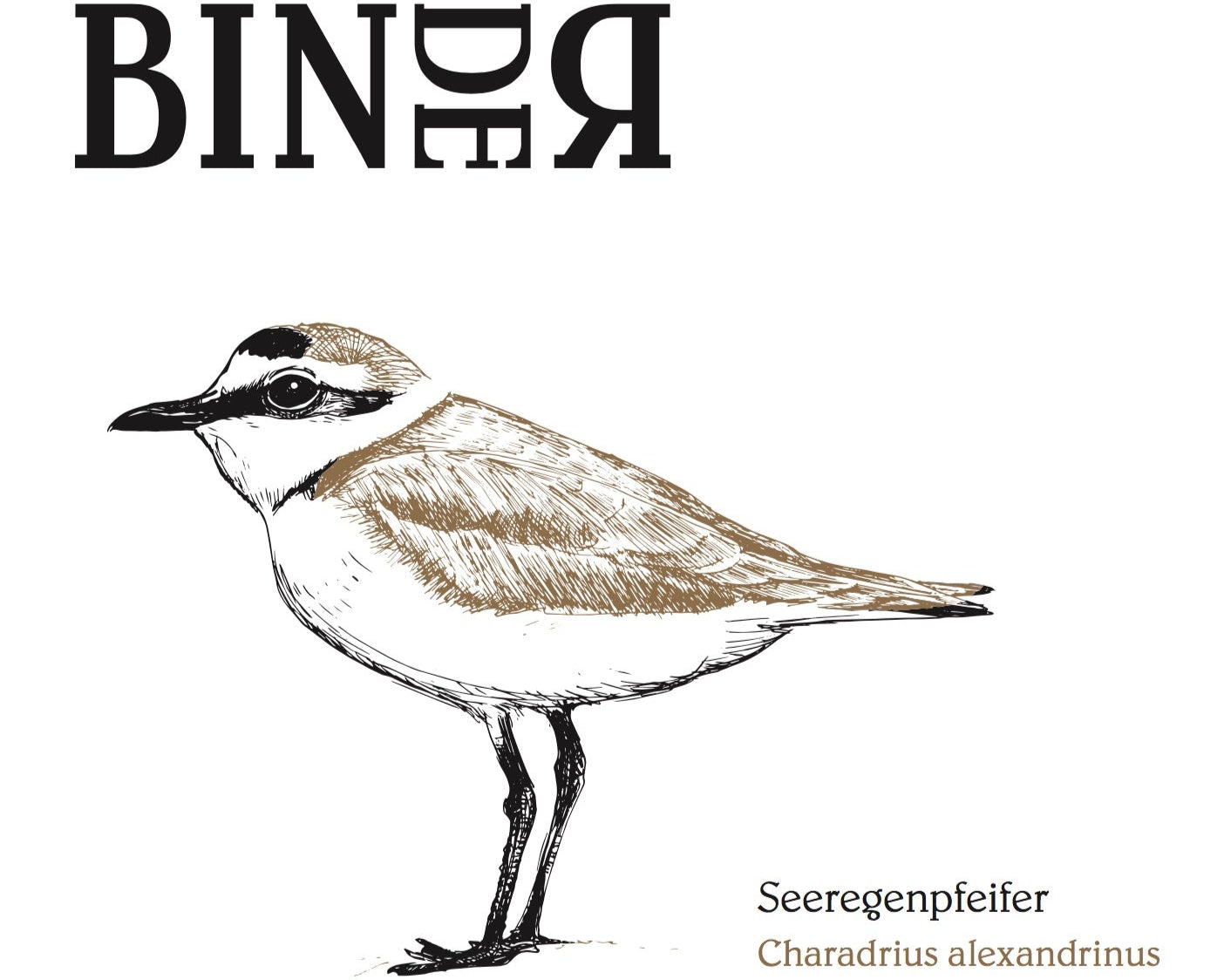 Weinflaschen Etikett Seeregenpfeifer vom Weingut Binder aus Mörbisch am See, Neusiedlersee, Burgenland, Österreich. Ein echter Burgenländer.